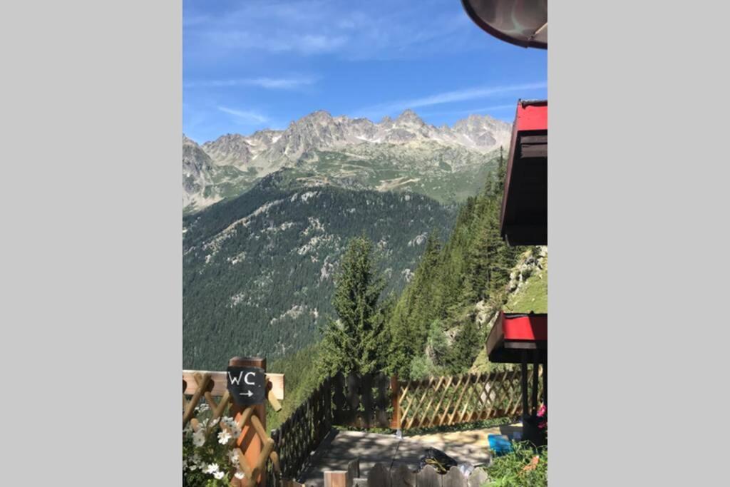 Large Premium Alpine Apartment For 4 To 8 People 瓦洛西讷 外观 照片